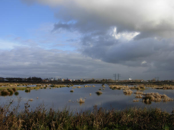 bedrijvigheid aan de horizon...