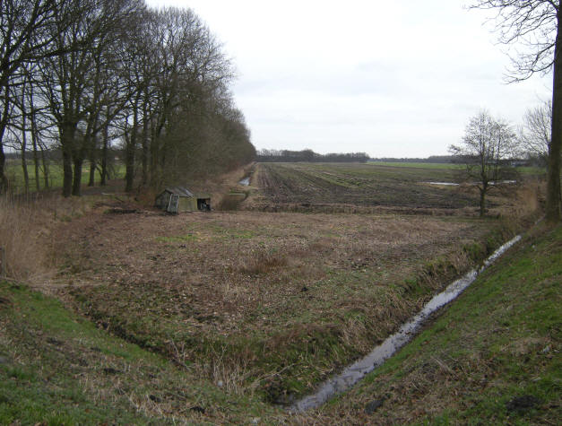 januari 2008...