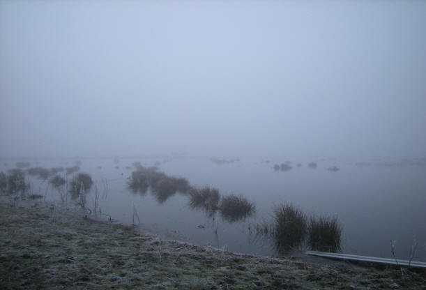 koud en mistig half februari...