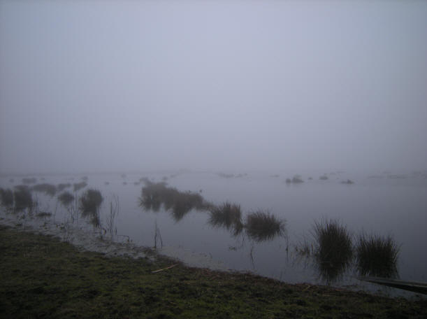 eind van de middag nog net zo mistig, maar minder koud en ijzig...