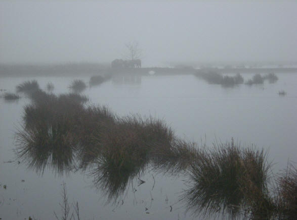 20 februari 2008...