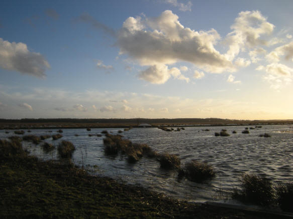 26 februari 2008...