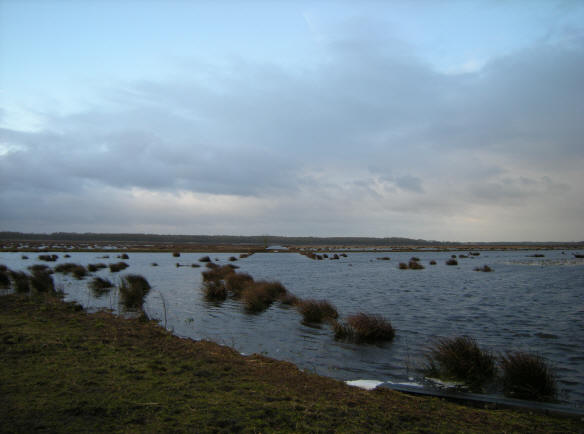 2 maart 2008