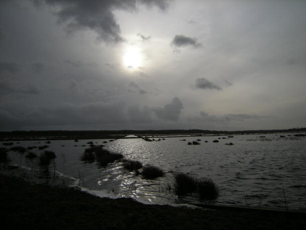 30 januari 2008