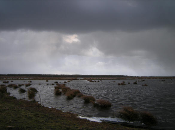 3 maart 2008