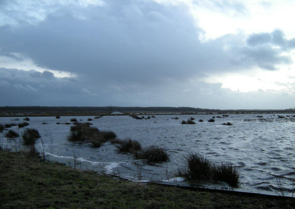 een stuk natter dan een maand eerder - dit is januari 2008...