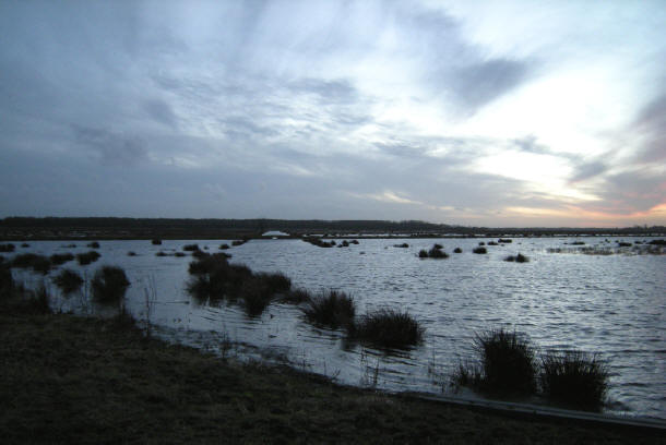 begin januari 2008...