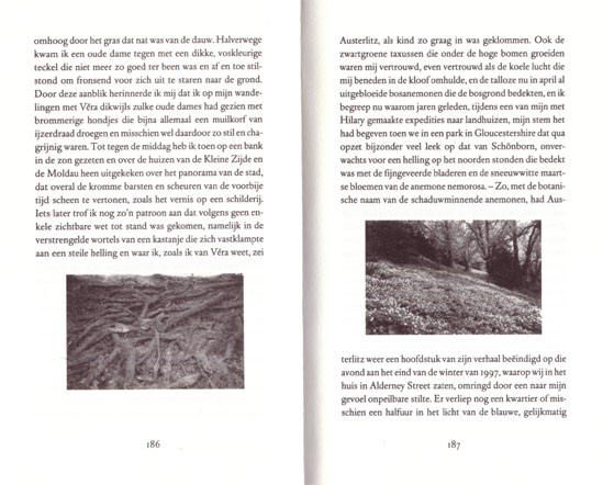 een dubbele pagina halverwege het boek...