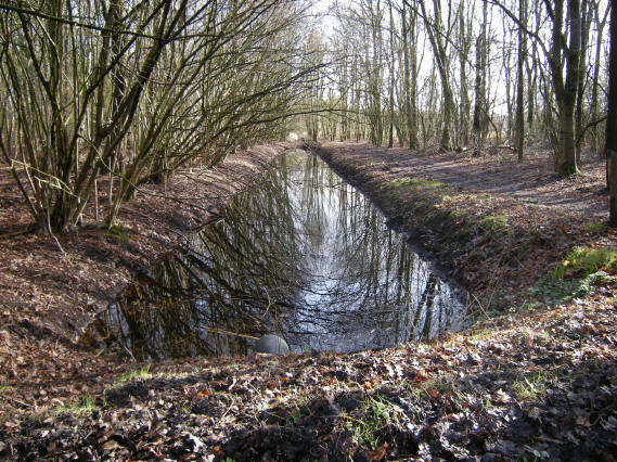 eind februari 2008