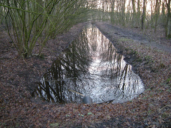 ochtendrood en een beetje ijs in de sloot... februari 2008