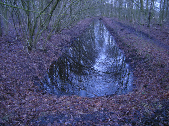 ochtendschemering in januari...