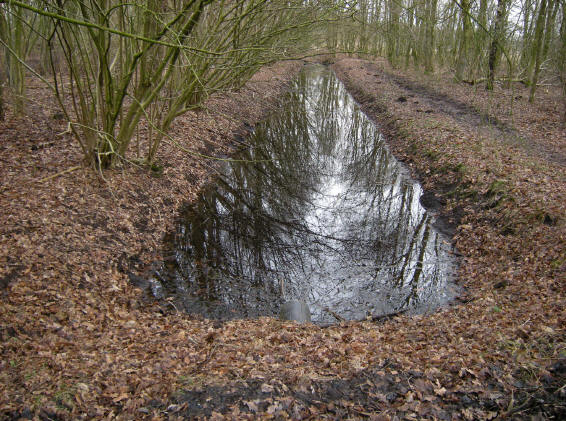 9 januari 2008 halverwege de middag...