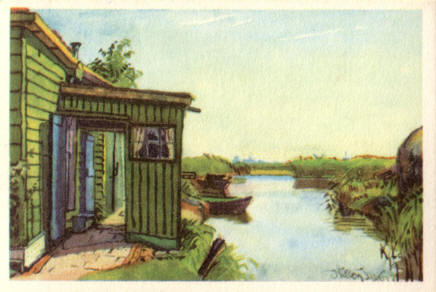 boerderij in westzaan...