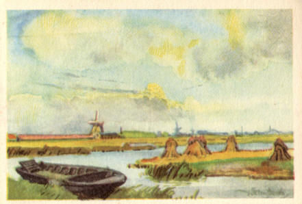westzijderveld...