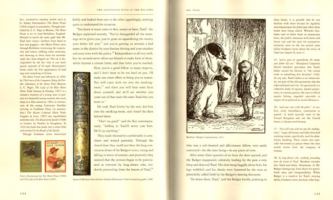 een dubbele pagina uit het boek...