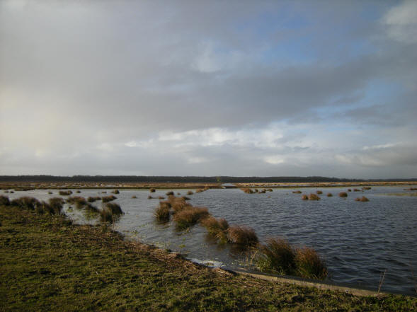 18 maart 2008