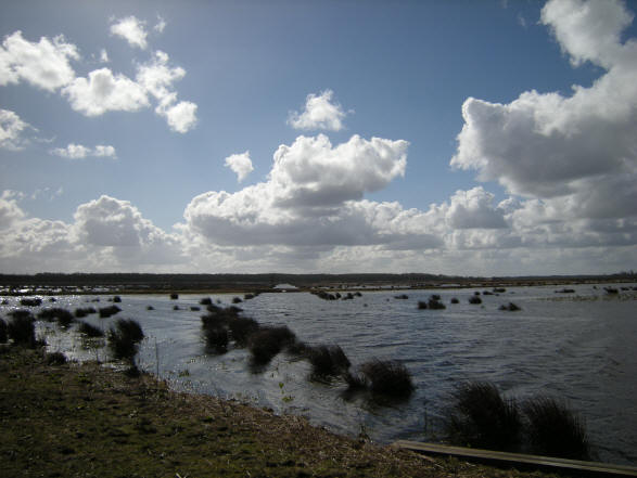 19 maart 2008