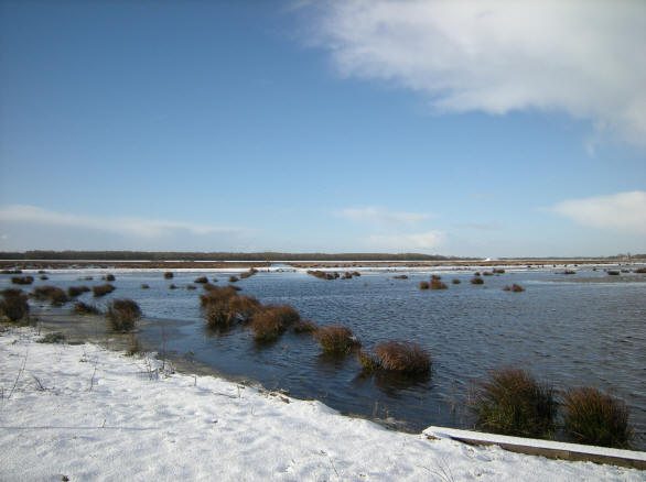 25 maart 2008 om 8 uur 's morgens...