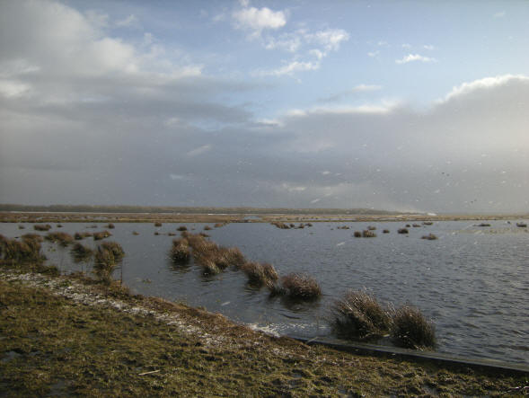 sneeuwbui in de zon - 25 maart einde van de middag...