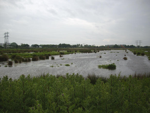 27 mei 2008