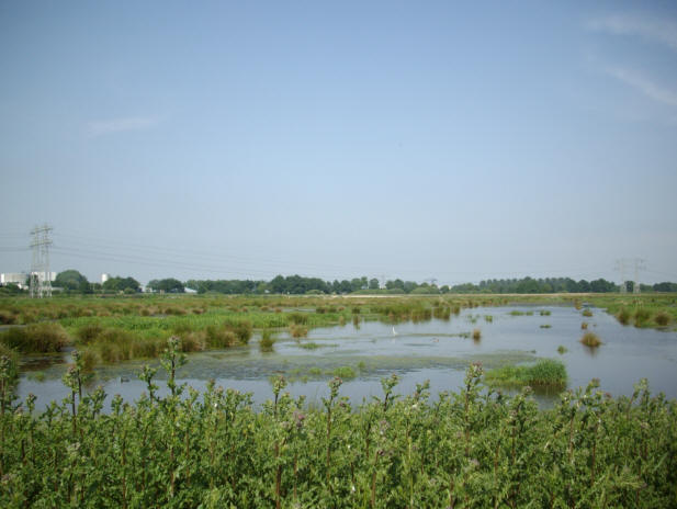 2 juni 2008
