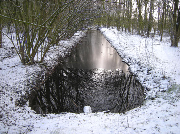 eind maart 2008...