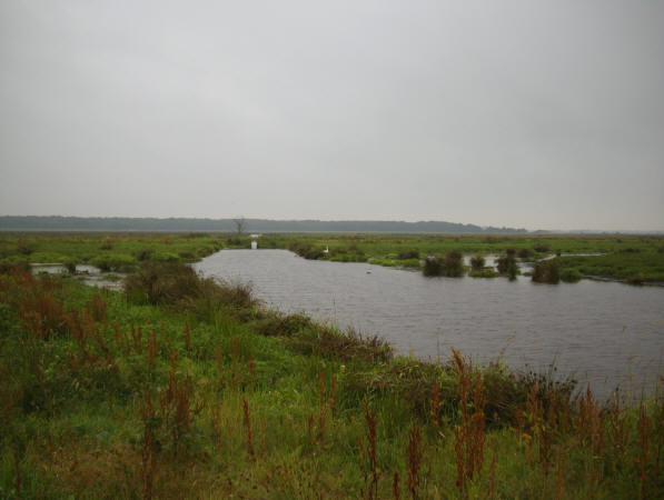 10 juli 2008