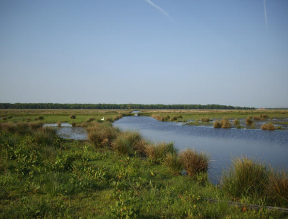22 mei 2008