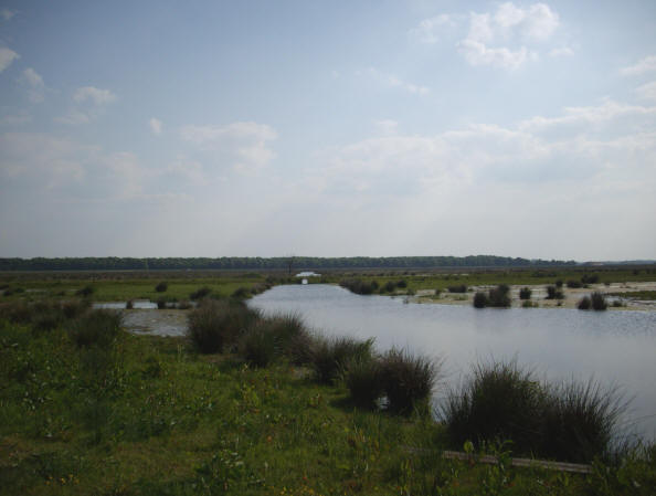 23 mei 2008