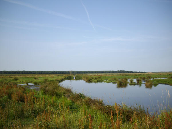 2 juli 2008