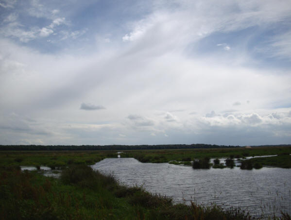 en ook hier weer een verbazend mooie lucht...