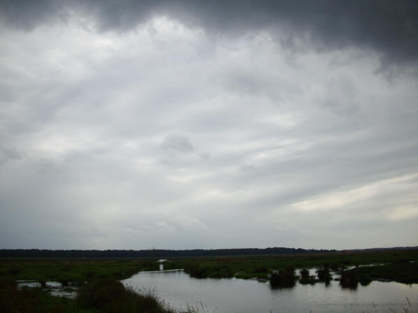vooral de luchten zijn altijd mooi in de polder...