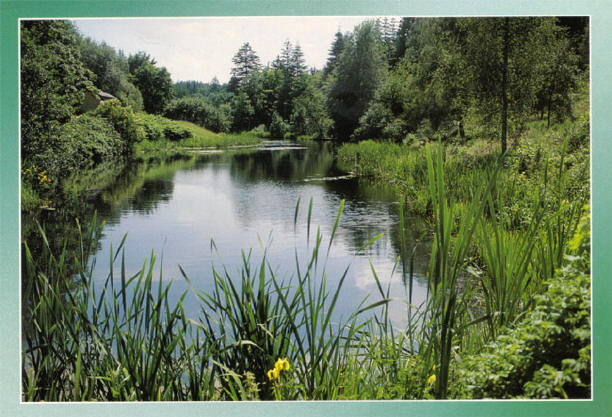 een deense plas...