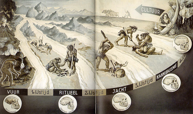 de evolutie van de mens