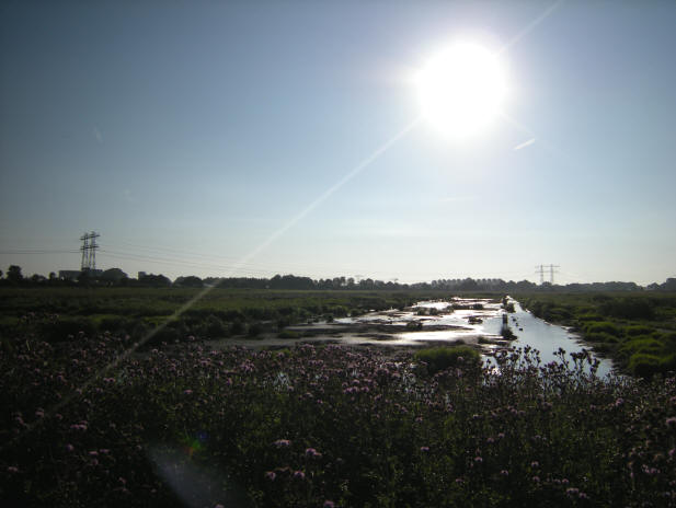 zon op het water - 14 juli 2008 ochtend