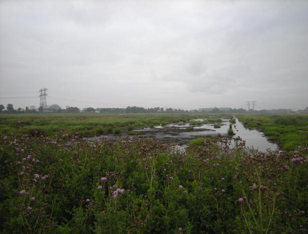 een grijze dag eind juli 2008