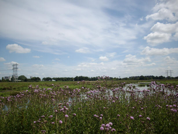 en weer een fraaie lucht...