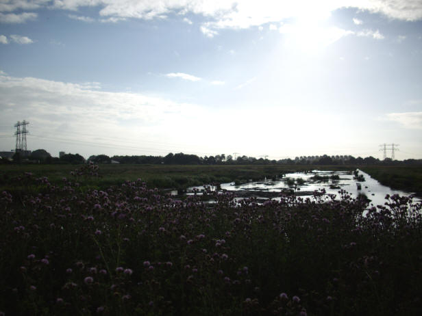 9 juli 2008, heel vroeg...