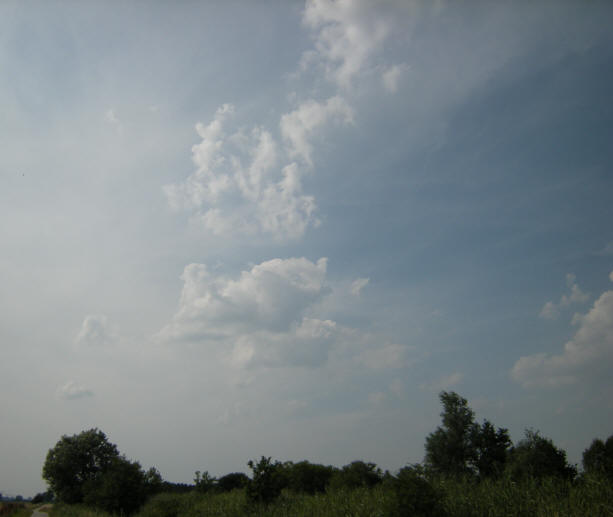 subtiele lucht...