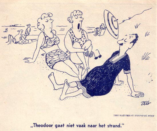 zoek de verschillen...