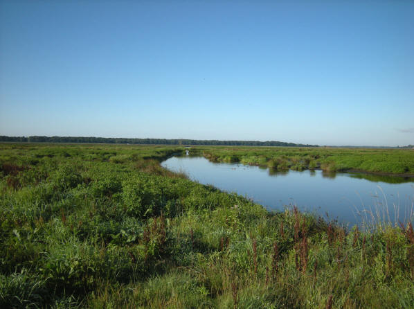eind juli 2008