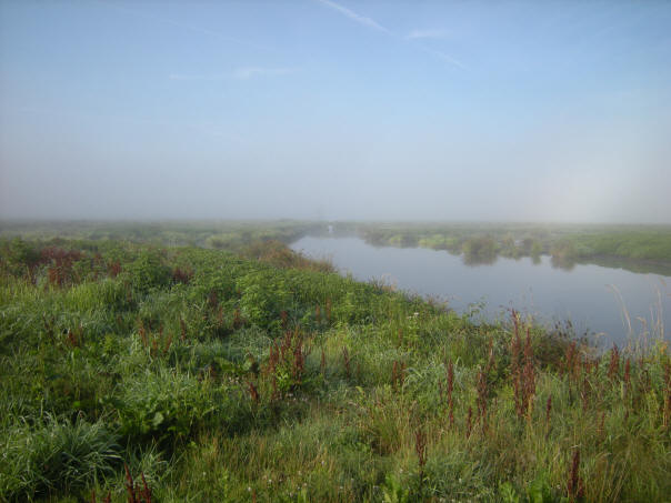 vleugje mist...