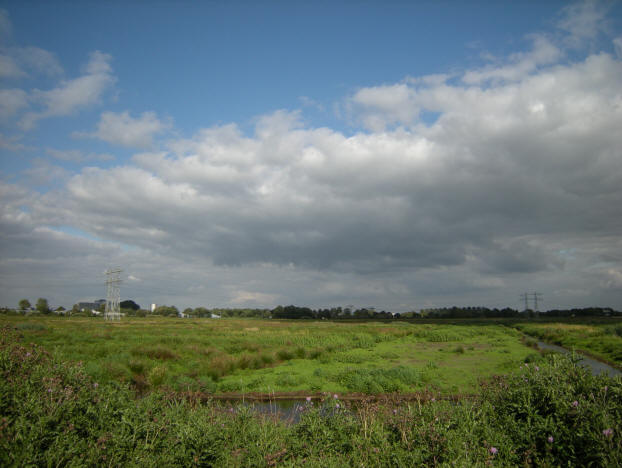 zon op de voorgrond...
