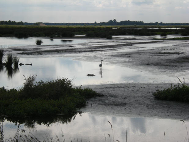 lucht in het water...