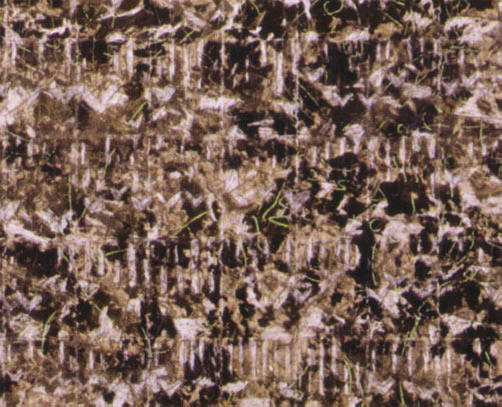 detail van natuere I