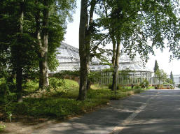 de botanische kassen van berlijn 2..