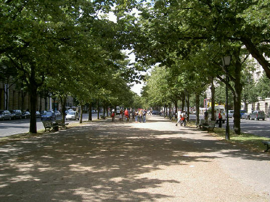 unter den linden - een wandelpad tussen twee rijbanen...