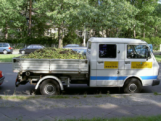auto vol appels