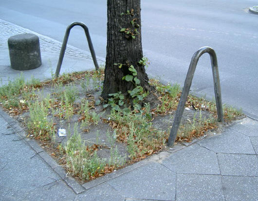 veiligheidsbeugels