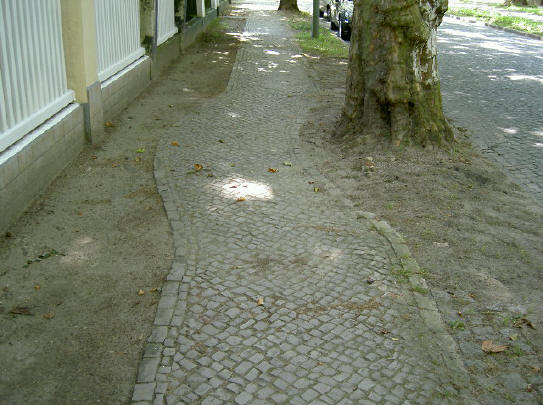 stoep met bochtje - in haren kappen ze dan de boom...